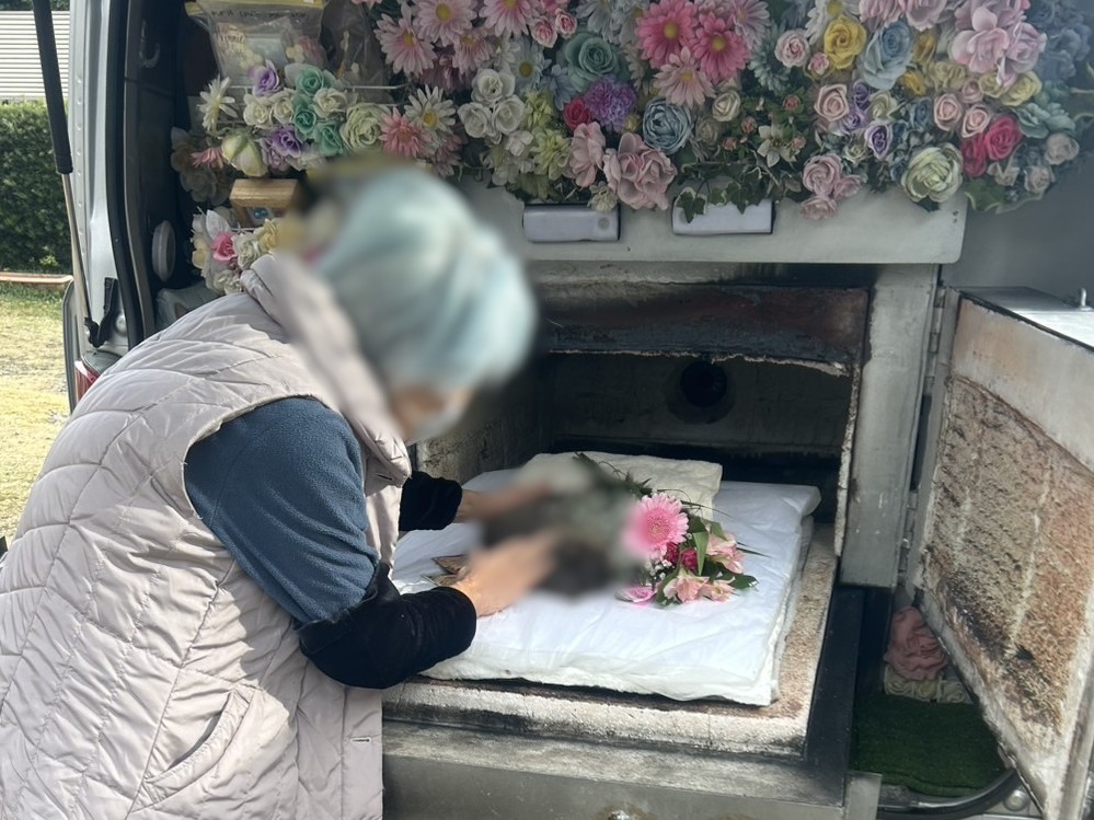 津市で22年間ご家族様と過ごされた猫ちゃんをお見送りしました