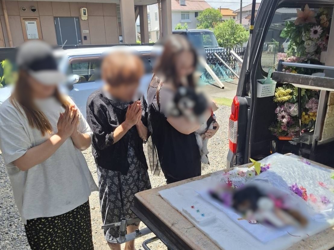 亀山市で持病と懸命に闘われたキャバリアちゃんをお見送りしました